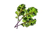 Smart-Home - Click & Grow Smart Garden Refill 3-pack - Red Kale - SGR47X3