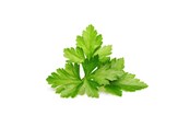 Smart-Home - Click & Grow Smart Garden Refill 3-pack - Cilantro/Coriander - SGR45X3