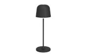 Lampen - EGLO Mannera schwarz - 900457