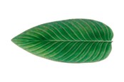 Küchenzubehör - Costa Nova Serving dish oblong leaf Riviera 40 x 17 cm Green/Black - 22783