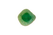 Küchenzubehör - Costa Nova Mini bowl leaf Riviera 11 x 10 x 3 cm Green/Black Ceramic - 22686