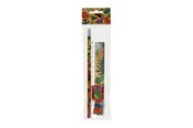 Schul-Zubehör - LG-Imports Writing set Dinosaur - 6585