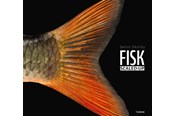 Naturwissenschaften - FISK – scaled-up - 9788740673579