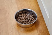 Hunde - Dogman Heavy Edelstahl-Futternapf Metall 450ml - 369627