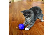 Katzen - KONG Cat Treat Dispensing Ball 7.5cm - 340335