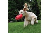Hunde - KONG Dog Toy Bounzer Medium 15cm - 340374