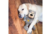 Hunde - KONG Hundespielzeug Wild Knots Bear Verschiedene Farben M/L 25cm - 340490