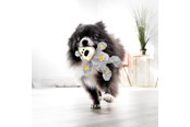 Hunde - KONG Hundespielzeug Wild Knots Bear Verschiedene Farben XS 10cm - 340492