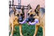 Hunde - KONG Hundespielzeug Ogee Stick 30cm - 340947