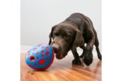 Hunde - KONG Activation Toy Rewards Wally - 341014