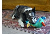 Hunde - KONG Hundespielzeug Ballistic Vibez Birds Mittel/Groß 26cm - 341122