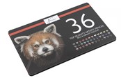 Kunst & Handwerk Ausstattung - Nassau 36 colored pencils in metal box - AR0213/GE