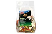 Essen - Trixie Food mixture for bearded dragons 100 g - TX76265