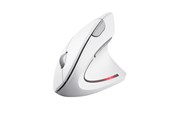 Maus - Trust Verto - Ergonomische Maus (Weiß) - 25132