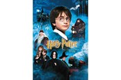 Puzzle - Thumbs Up! Harry Potter - Puzzle 50 pieces - Harry Potter and the Philosopher's Stone - 8435450232411