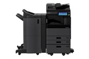 Druckerzubehör - Tinte & Toner - Toshiba T-3008E - black - original - toner cartridge - totot30080