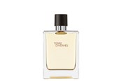Parfüm und Düfte - Hermès Terre d' EDT 100 ml - 3346130009603