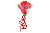 Spiele im Freien - Kites Ready 2 Fly - Kite Watermelon - PL200WA