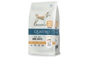 Hunde - Quattro Maxi Adult with Poultry 12kg - 13051