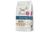 Hunde - Quattro All Breed Active Adult 12kg - 13050