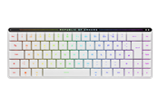 Tastaturen - ASUS ROG FALCHION Low Profile RX Optical - DE - Gaming Tastaturen - ohne Numpad - Deutsch - Schwarz - 90MP03EC-BKDA10
