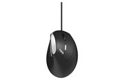 Maus - RAPOO EV200 - Ergonomische Maus (Schwarz) - 13532
