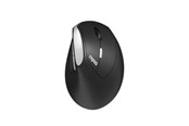 Maus - RAPOO EV250 - Ergonomische Maus (Schwarz) - 13531
