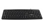 Tastaturen - Esperanza TITANUM STANDARD USB KEYBOARD - Tastaturen - Schwarz - TK101