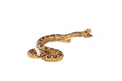 Spielzeug - Mojo Wildlife Rattlesnake - 387268
