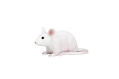 Spielzeug - Mojo Farmland Mouse - 387235 - 387235