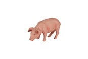 Spielzeug - Mojo Farmland Eating Piglet - 387056