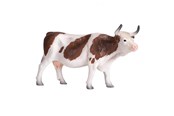 Spielzeug - Mojo Farmland Simmental Cow - 387220 - 387220