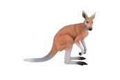 Spielzeug - Mojo Wildlife Kangaroo - 381010