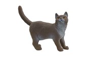 Schleich - Schleich Britisch Kurzhaar Katze - 13973