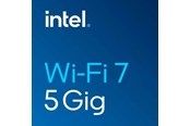 Netzwerkadapter (Netzkarte, Druckserver, u.s.w.) - Intel BE202 Wi-Fi 7 2x2 + BT 5.4 / M.2 2230 / With vPro - BE202.NGWG.NV / 99C9ZG
