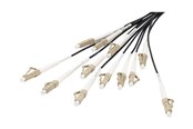 Netzwerk - Kabel - DIGITUS breakout cable - 100 m - black - Schwarz - 100m - DK-2433CU100BK-BBB