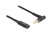 Andere Kabel - DeLOCK - power connector adaptor - USB-C (power only) to DC jack 5.5 x 1.7 mm - 15 m - 60038