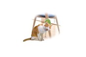 Katzen - AFP All For Paws - Groomer 2 In 1 20.3X11X2.2Cm - (781.1025) - 781.1025