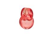 Parfüm und Düfte - Bvlgari Omnia Coral Edt Spray - 783320420672