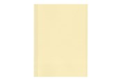 Archivierung und Aufbewahrung - Esselte - file folder - for A4 - yellow (pack of 100) - 44102