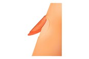 Archivierung und Aufbewahrung - Leitz ColorClip Rainbow Orange - 41760045