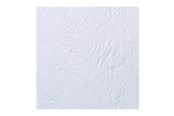 Druckerzubehör - Tinte & Toner - ACCO Brands LeatherGrain™ Deckblatt A4 250 g/m² Weiß - CE040070
