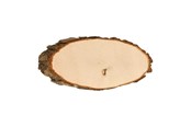 Kreativ-Spiele - Playwood Make your own Nameplate Tree Bark 28 cm - SL30-33