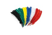 Kunst & Handwerk Ausstattung - Colorations - Feathers 30cm Set of 24 - CHLGQUIL
