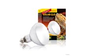 Heating/Light - EXO TERRA Solar Glo Wide Beam 80W Sun Simulating Bulb - HPT2334