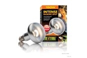 Heating/Light - EXO TERRA Intense Basking Spot 150W - HPT2140