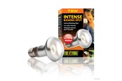 Heating/Light - EXO TERRA Intense Basking Spot 75W - HPT2136