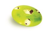 Katzen - Catit Play Treat "SPINNER" - H43750