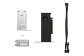Grafikkarte - Lenovo RTX 2000 Ada - 16GB GDDR6 RAM - Grafikkarte - 4X61P69962