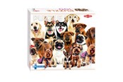 Puzzle - Tactic  Group of Cute Dogs 1 pcs puzzle Boden - 59233